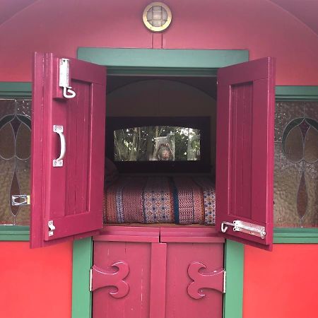 Greytown Campground 外观 照片